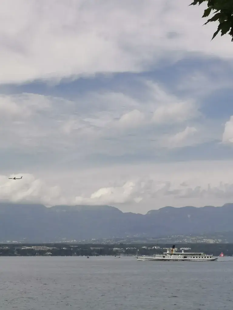 Martlet_Le Petit Lac_Corsier_avis