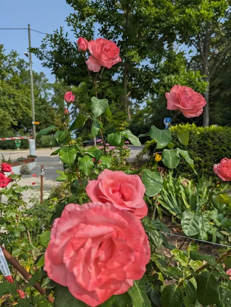 Shannon Sweeney_Hôtel restaurant Le Manoir_Collonge-Bellerive_review