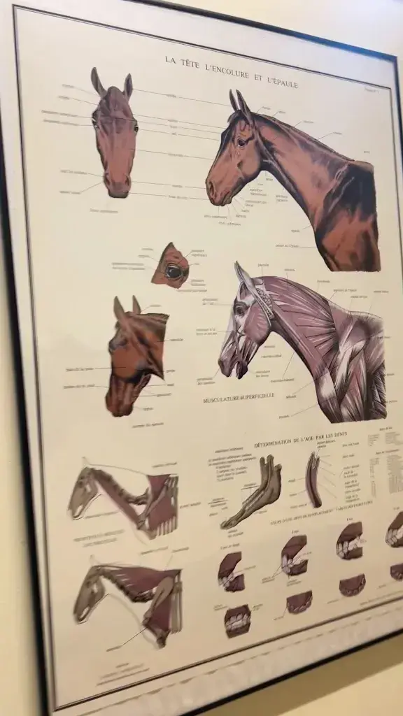 hayet HBM_Bistro du Fer à Cheval_Vésenaz_Bewertung