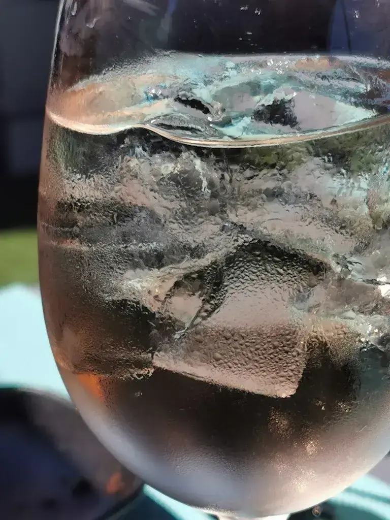 Menu_Yacht Club de Genève_Cologny_image_6