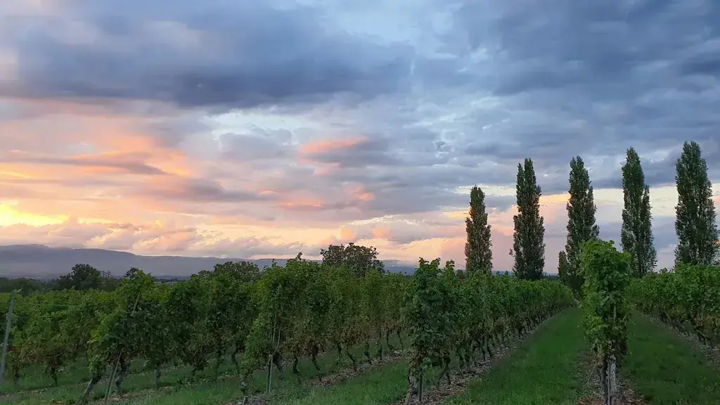 Daniel Hartmeier_Auberge du Cheval Blanc_Meinier_review