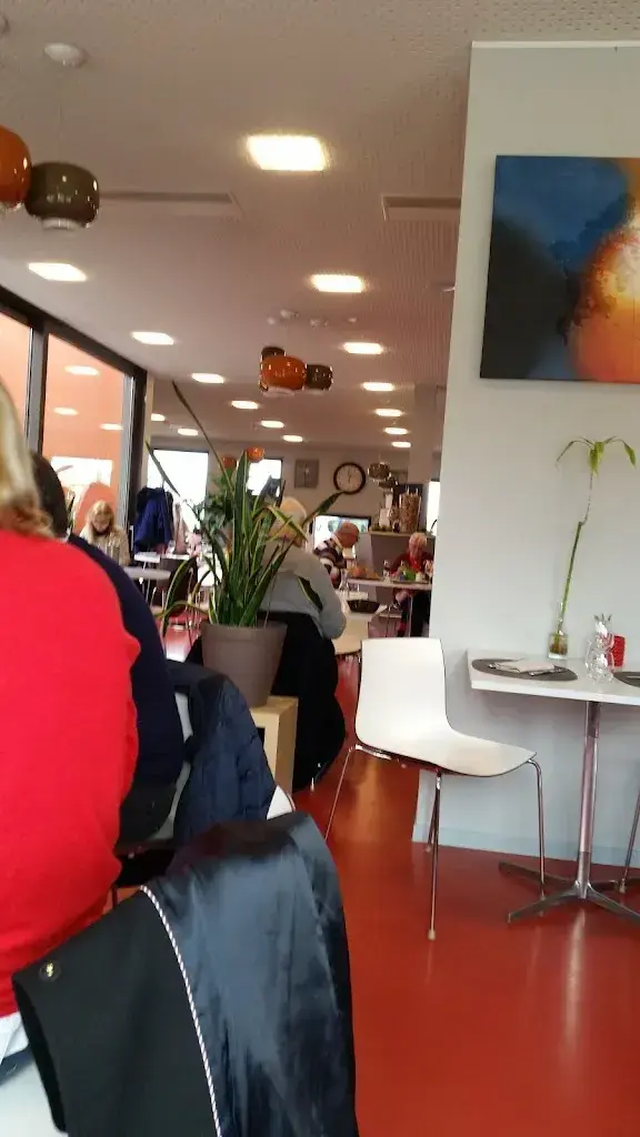 Roger Sommerhalder_Le Tilleul_Meinier_review