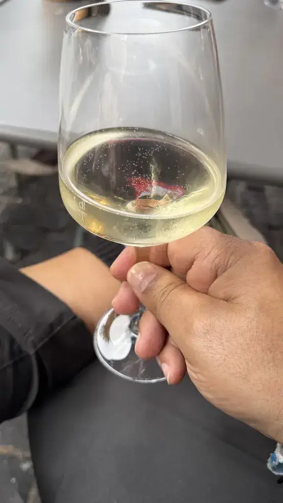 Menu_Pizzeria Ristorante Molino Petit Lancy_Lancy_image_7