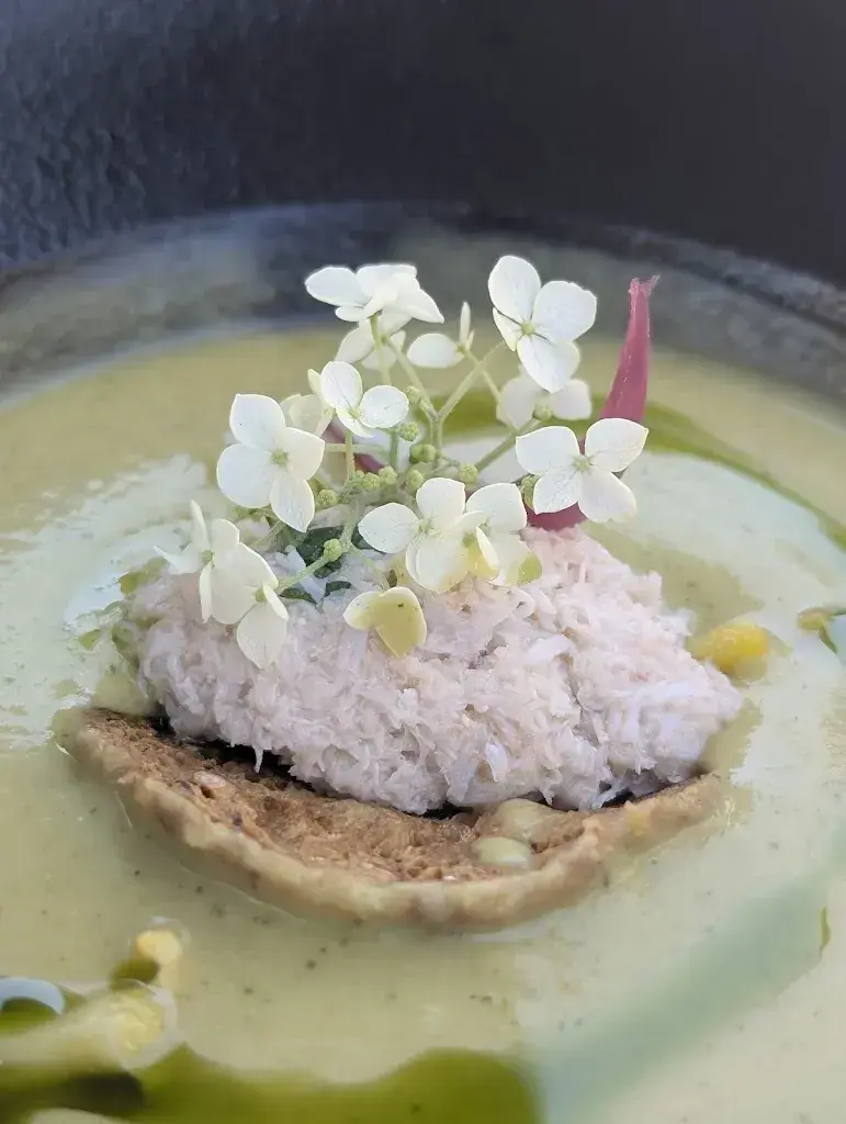 Julian Davies_Restaurant des Fourneaux du Manège_Onex_review