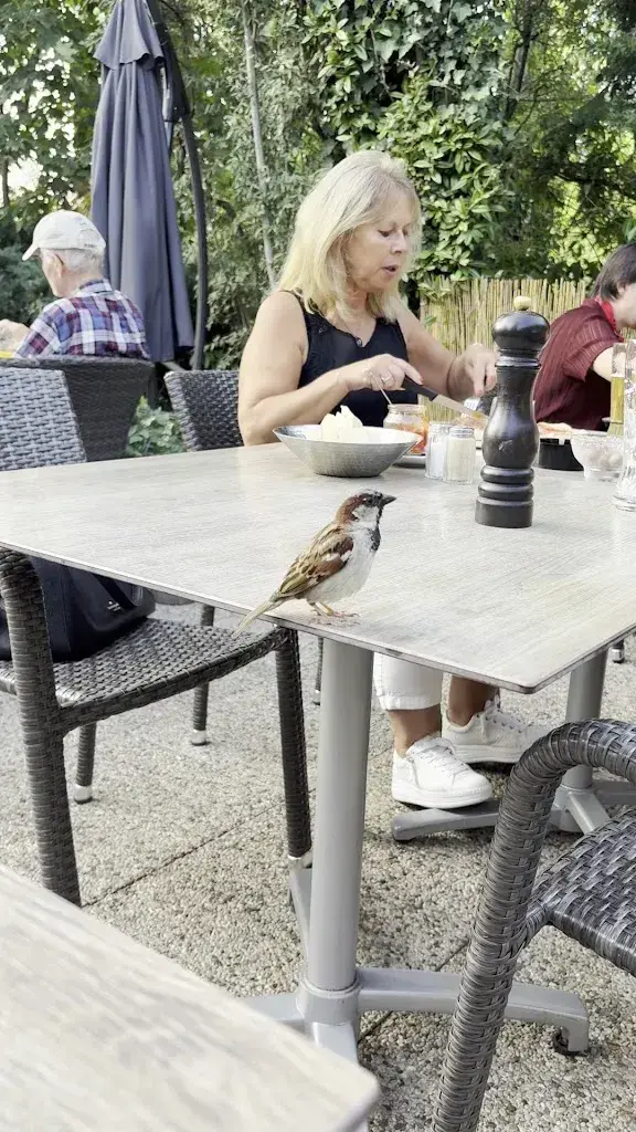 Chloe Kwan_Restaurant Da Toni_Vernier_review