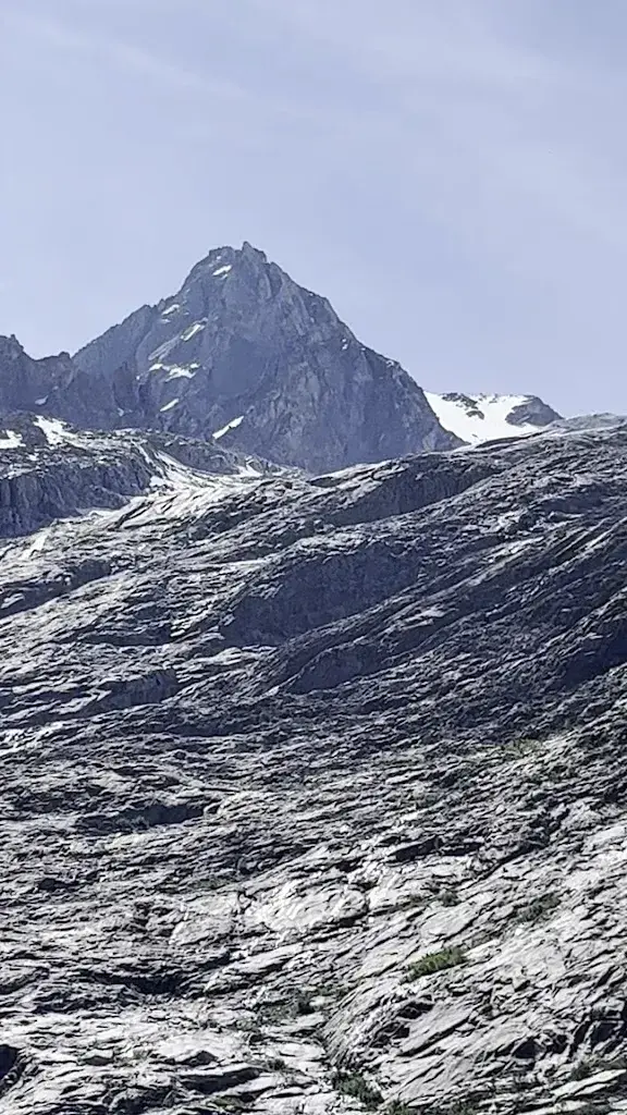 Shefik Kaplanseren_Brasserie 