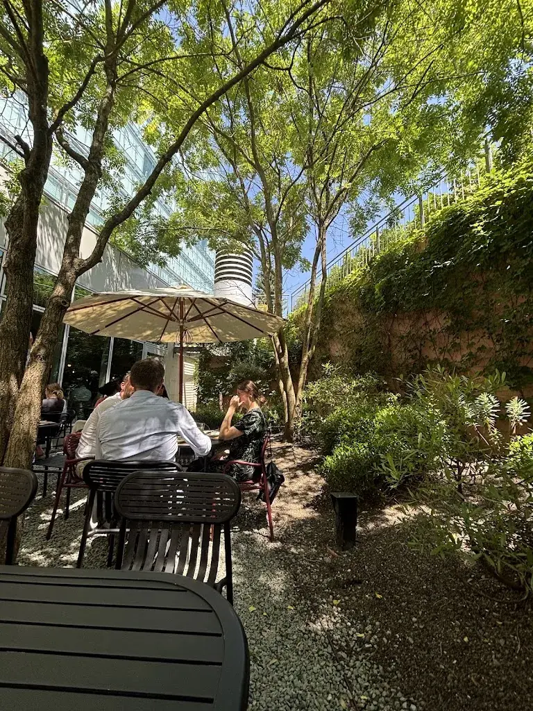 Florent F._Bird House_Vernier_review