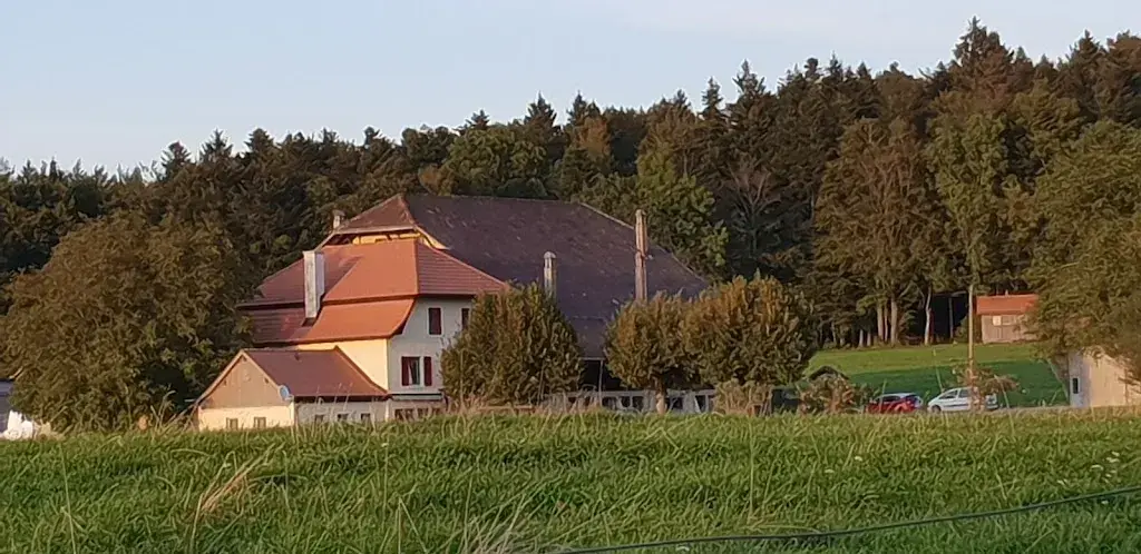 Cathy Jeandupeux_Restaurant la Haute-Borne_Delémont_avis
