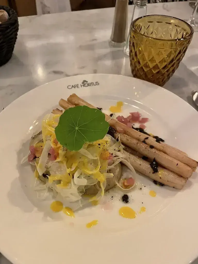 Dhia Hayouni_CAFÉ HORTUS_Meyrin_review