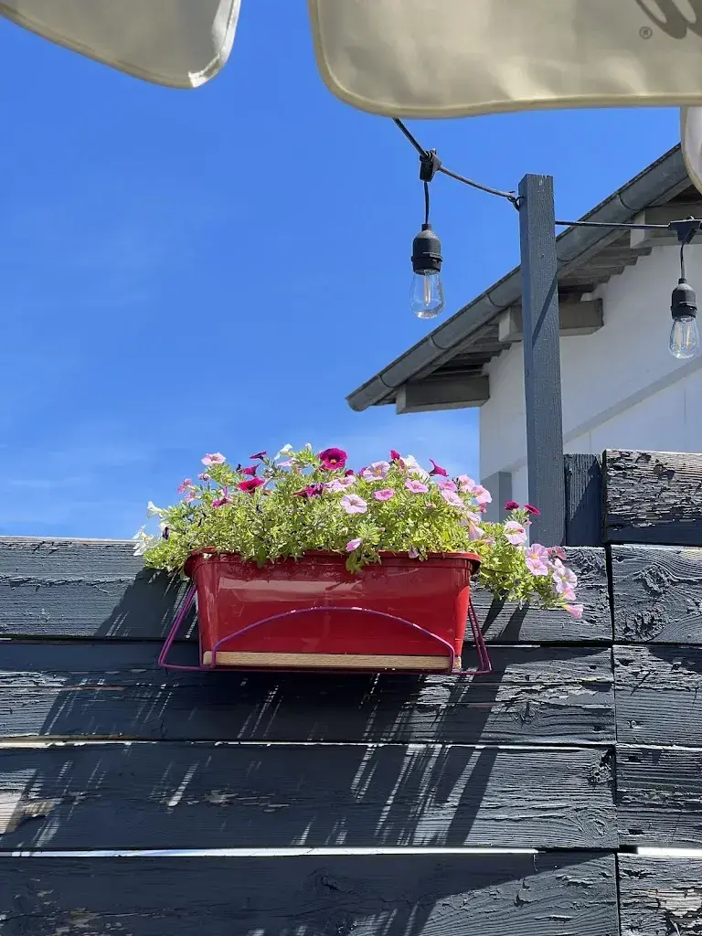 YMin YU_Restaurant Don Pedro 1951_Meyrin_Bewertung