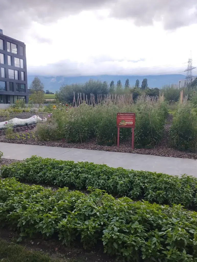 Ale_Luigia Academy_Meyrin_review