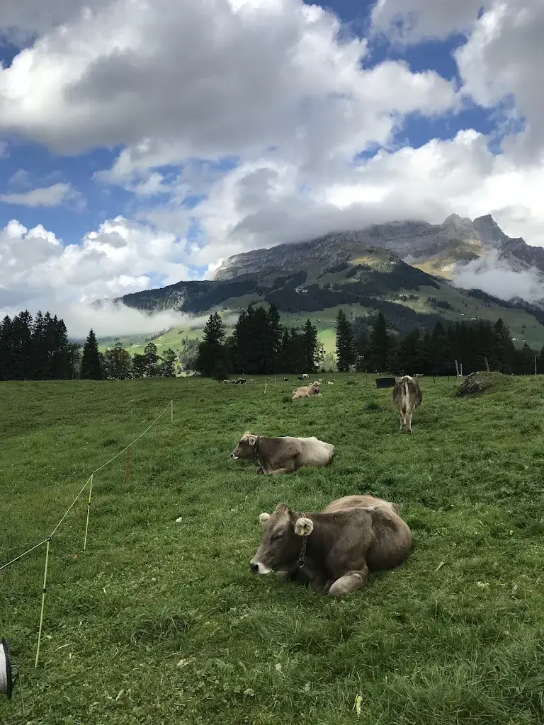 greg gescha_Restaurant Ritz Gerschnialp_Engelberg_recensione