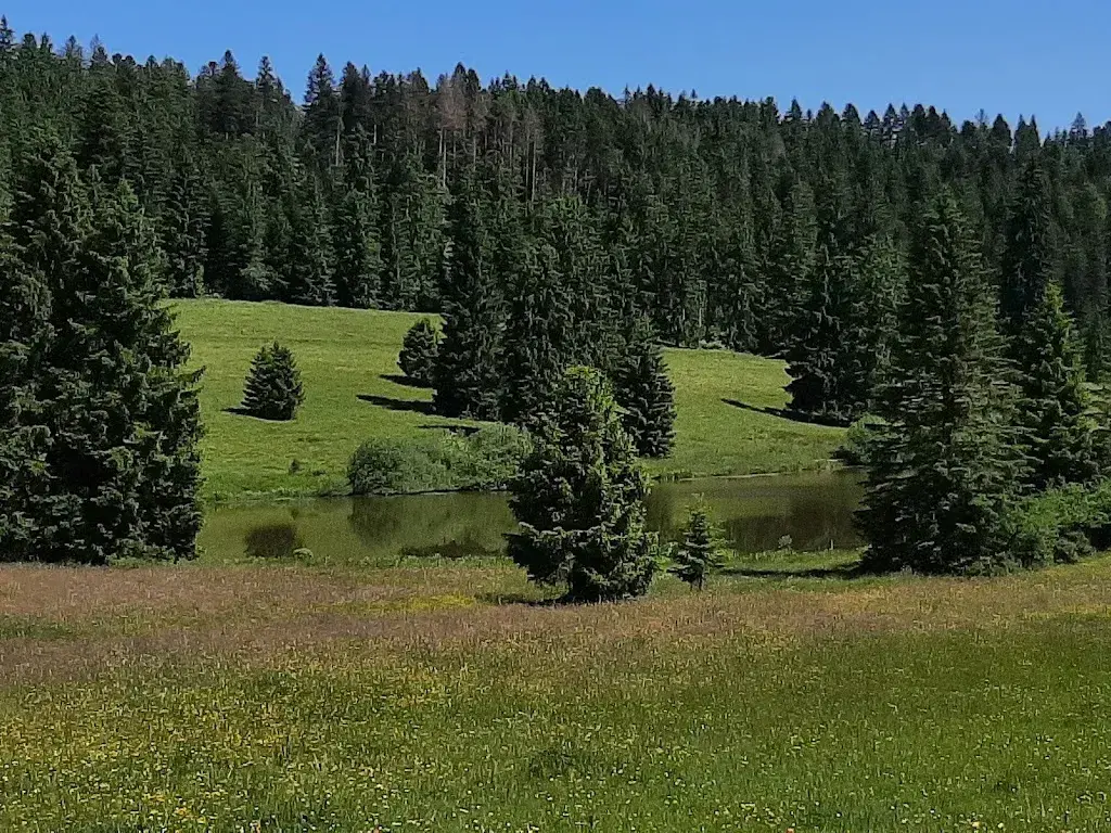 Patchou_Restaurant Les Voyageurs_Montfaucon_review