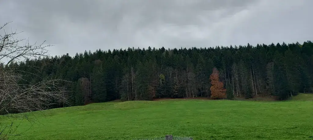 Karthikeyan Vijayakumar_Restaurant La Combe_Montfaucon_review