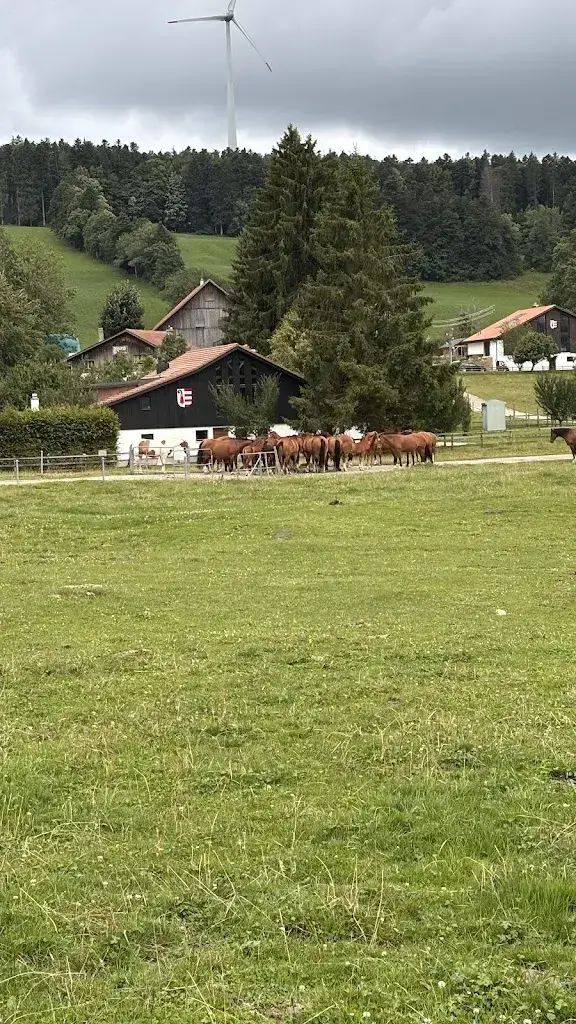 Stéphane Ruch_Hôtel Auberge du Peu-Péquignot_Le Noirmont_avis