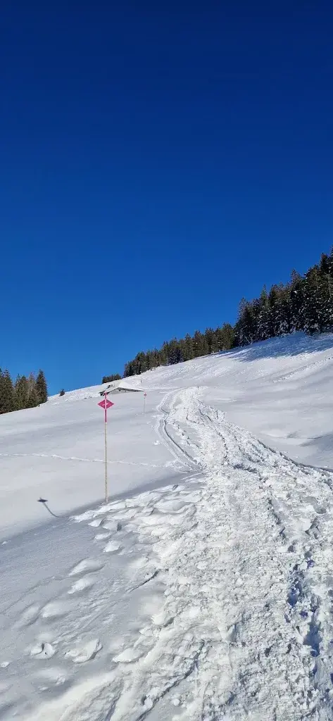 Anne-Laure Barrale_Chalet de La Berra_La Roche_review