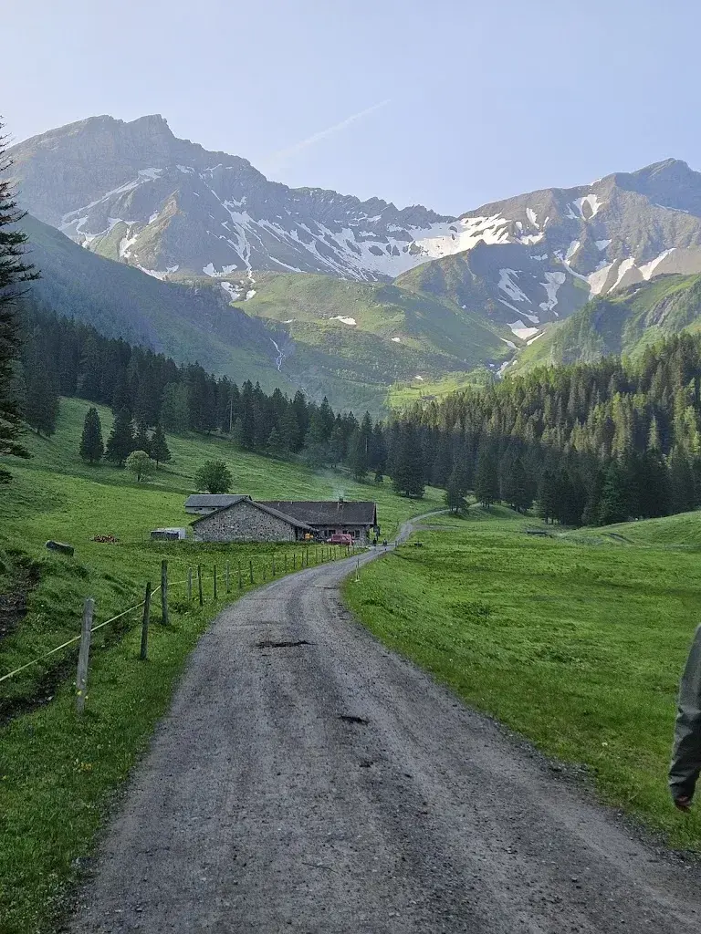 Han Wyes_Alp Valüna_Liechtenstein_review