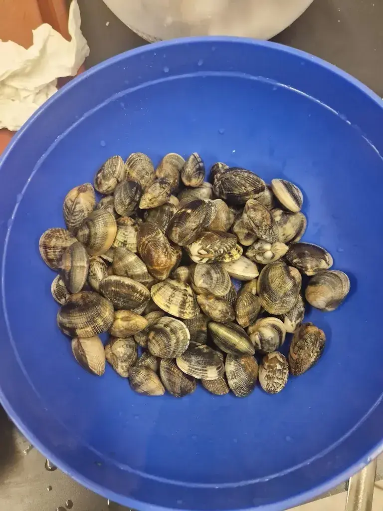 Menü_Fratelli Del Vecchio_Liechtenstein_Bild_4