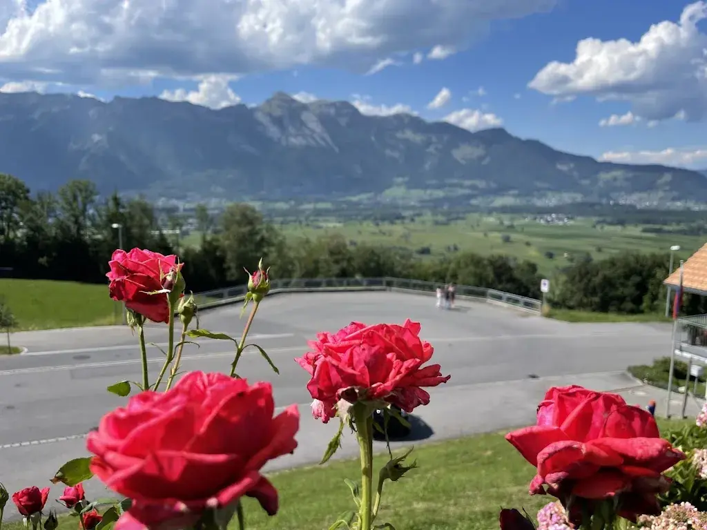 Alexandre Milouchev_Wirtschaft zum Löwen_Liechtenstein_review