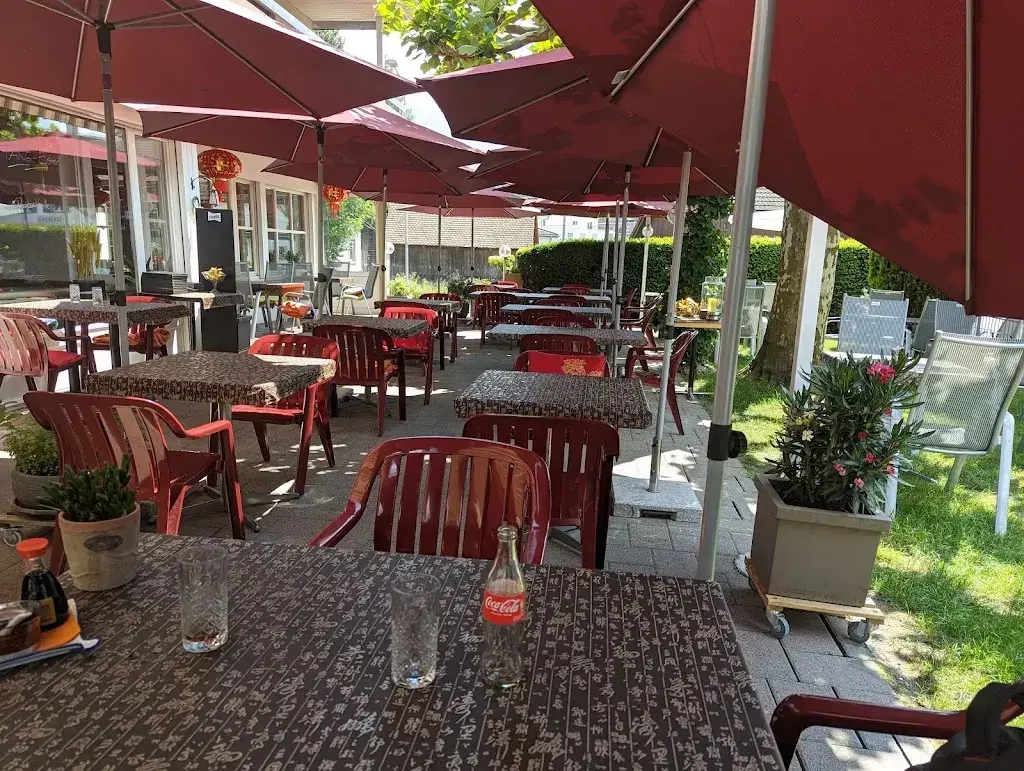 Ouissal B._TANG Restaurant_Liechtenstein_review