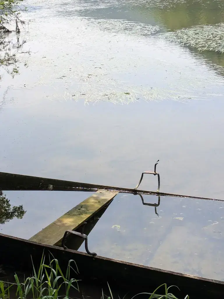 Sheila Pink_Auberge de la Bouège_Le Noirmont_avis