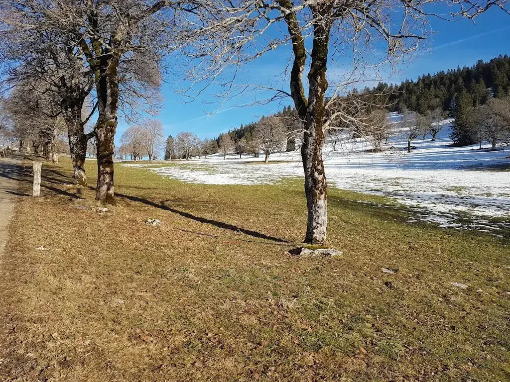 Albi0958_Café des Sportifs Les Bugnenets_Le Pâquier_recensione