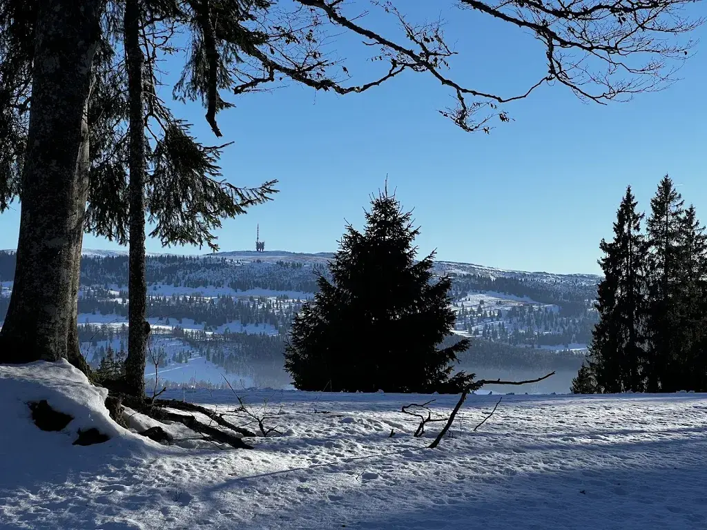 Olivier Vermeulen_Col du Mont Crosin_Cortébert_review