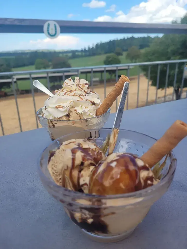 Menu_Restaurant «Relais du Roselet»_Les Breuleux_image_4