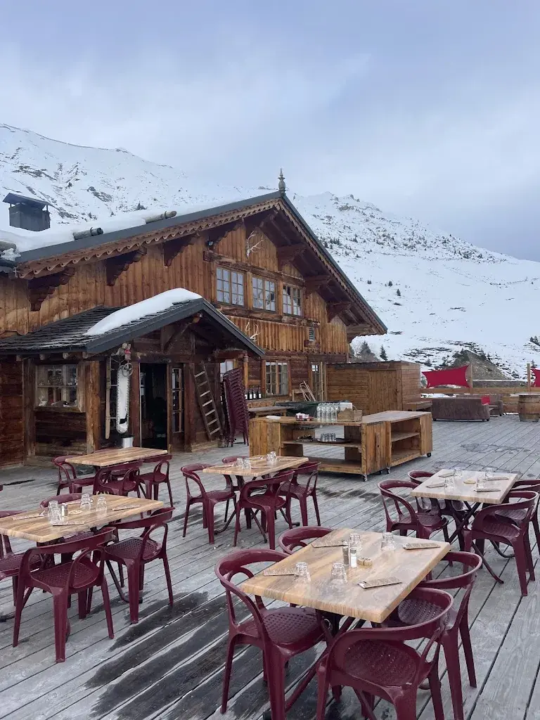 Harry_Le Chalet des Verdons Sud_France_Bewertung