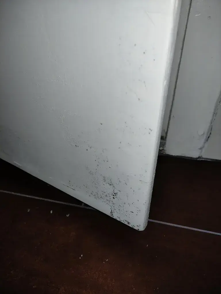 Bartosz_La Belle Croix Hôtel - Brasserie - Restaurant_Romont_avis