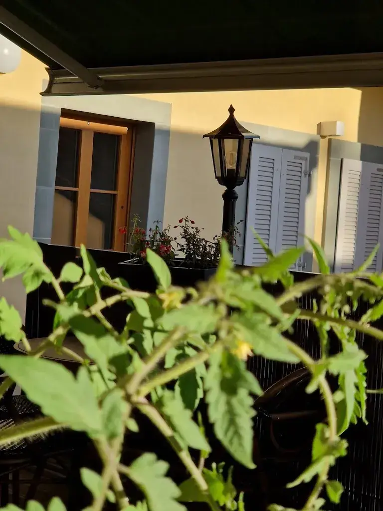 Patrick Primo Soares_Tea-room crêperie La colline_Romont_review