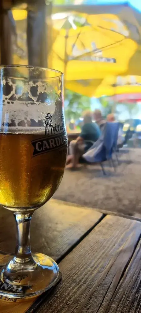 Mihai Ciulean_Défénant_Grangettes_avis