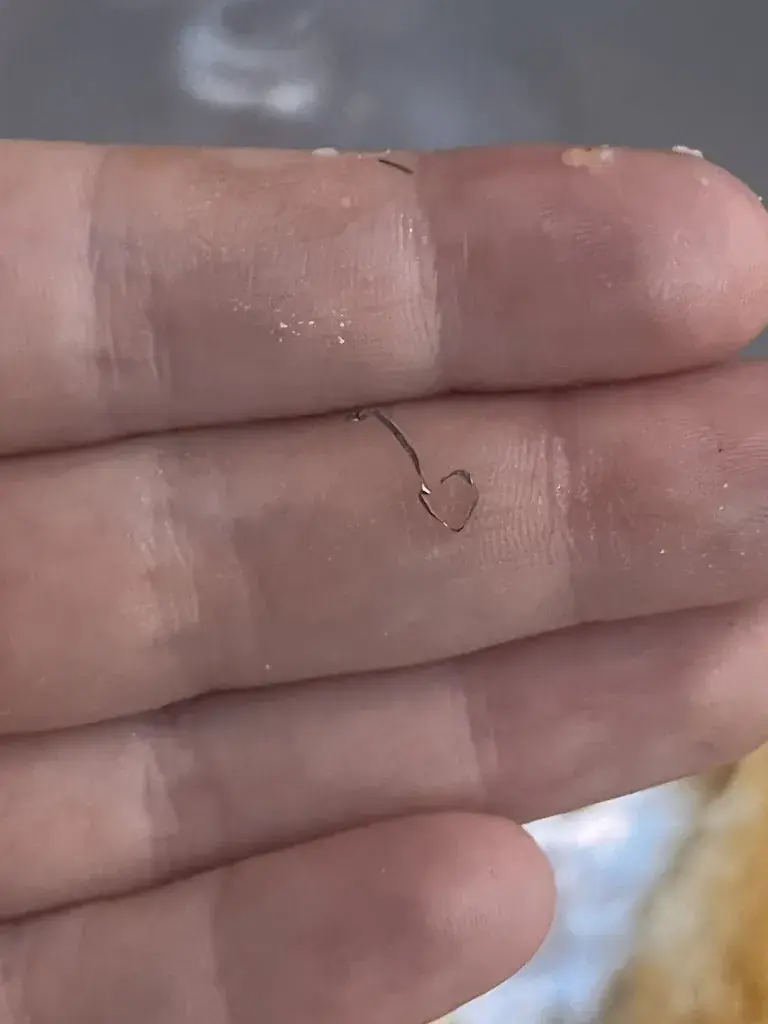 Charline Berchtold_Son'Keb Kebab Sonceboz_Sonceboz-Sombeval_avis