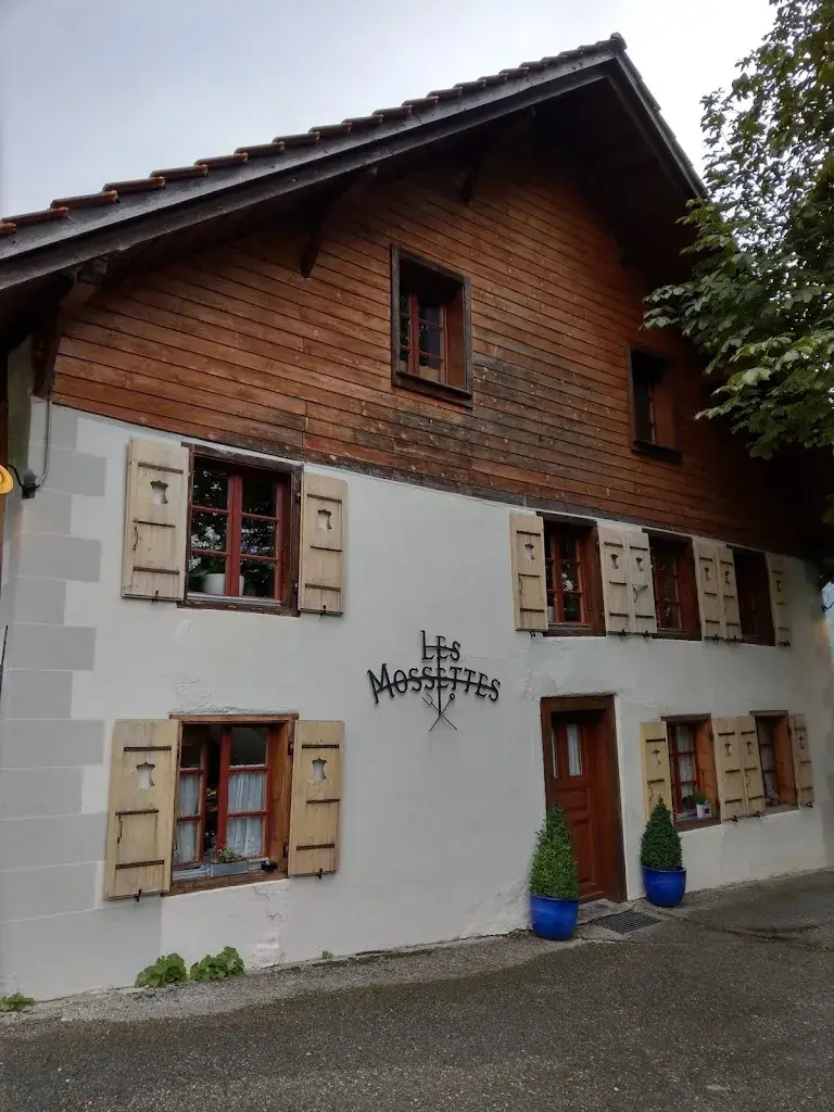 Amy Lu_La Pinte des Mossettes_Cerniat_avis