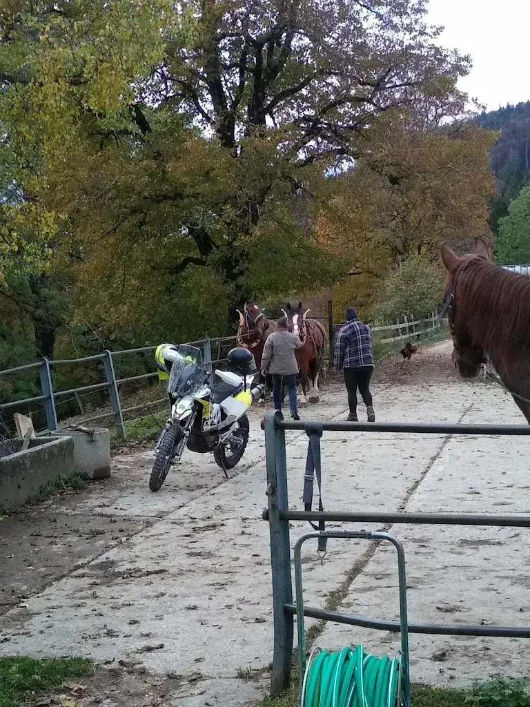 peter naegeli_Restaurant Bergerie du Pré-La- Patte_Péry-La Heutte_review