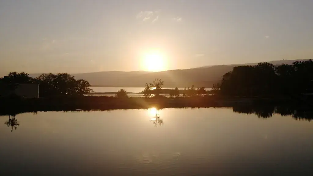 Mari Vainikka_Bistro Martin Pêcheur_Hagneck_avis