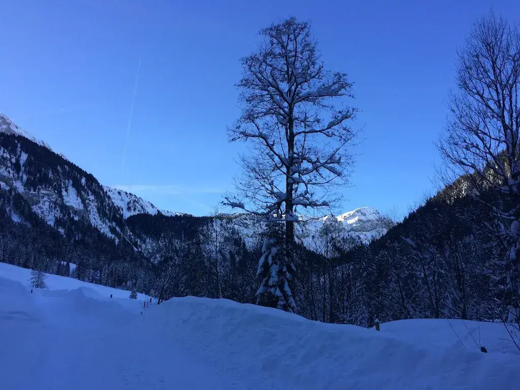 Verticalapproach_Unterlauelenalpwirtschaft_Hergiswil_avis