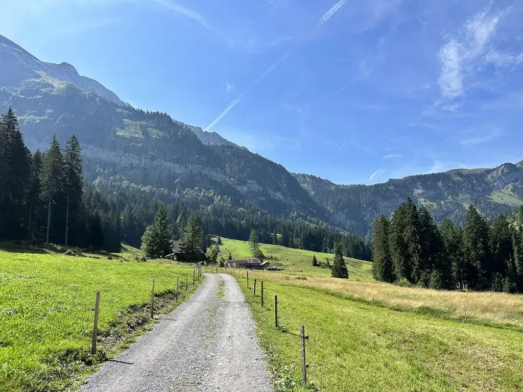 Sebastian_Unterlauelenalpwirtschaft_Hergiswil_avis