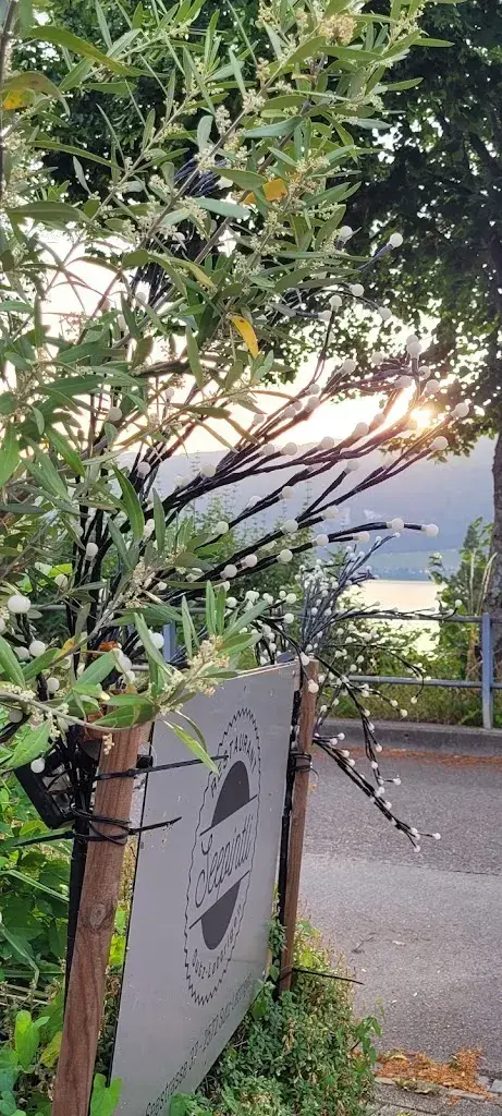 Cleo Piller_Seepintli_Sutz-Lattrigen_review