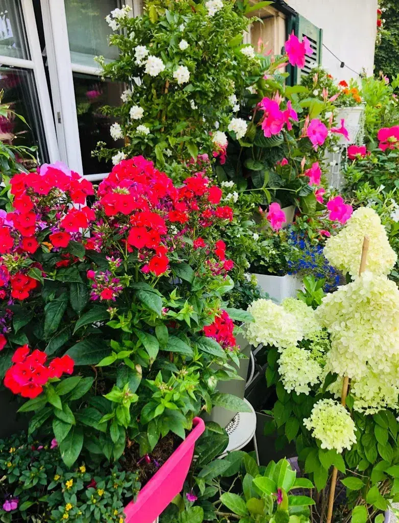 Sanja Platiša_Pizzeria Margherita_Erlach_recensione