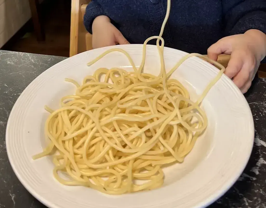 MyTravelsAround TheWorld_Restaurant Wasserfels_Stein am Rhein_avis