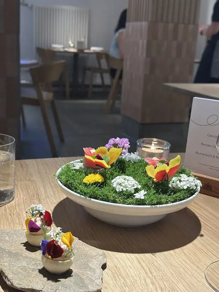 T C_elmira_Zürich_review