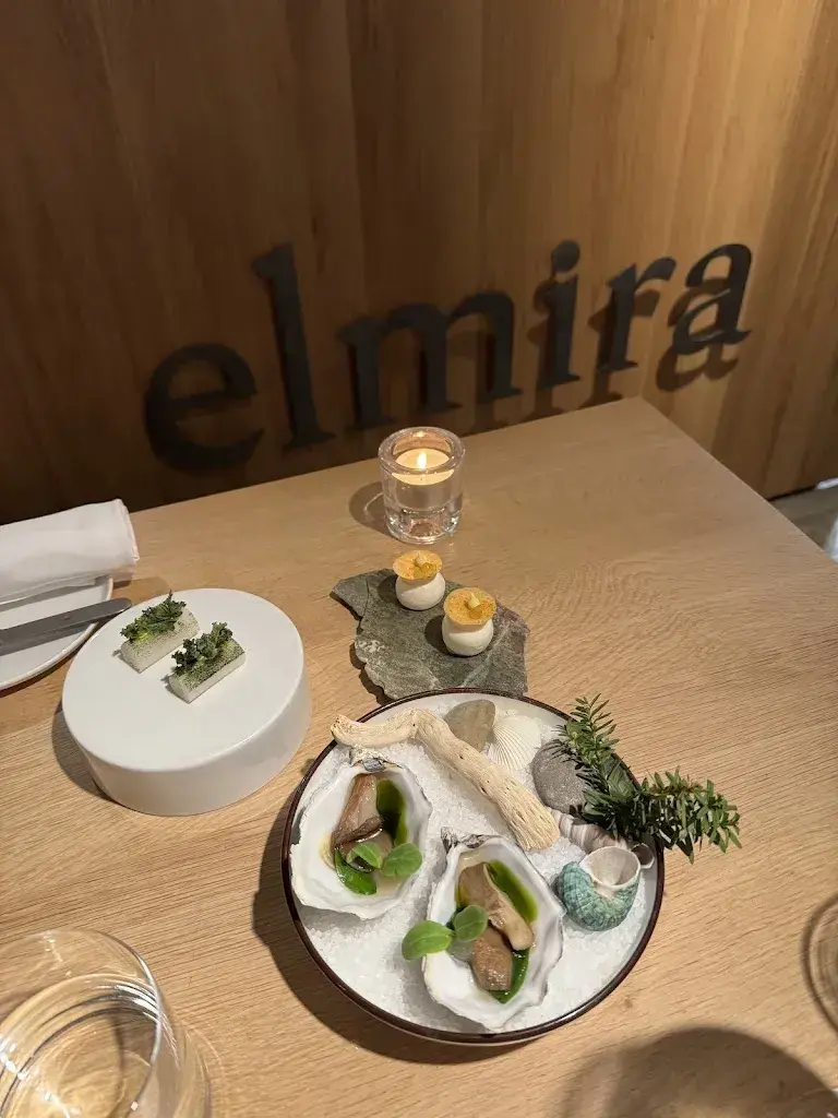 sIIcAnton_elmira_Zürich_review