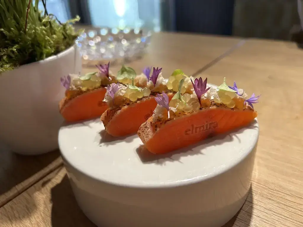 Dawn Biyash_elmira_Zürich_review