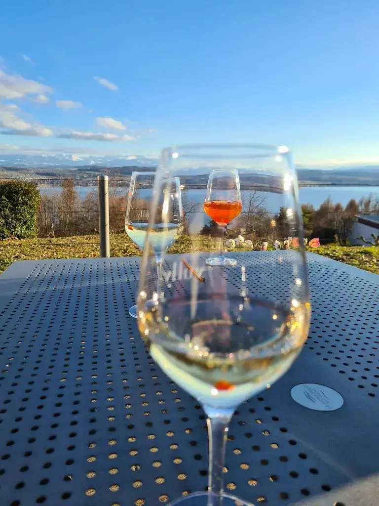 Menu_Hôtel Restaurant Le Mont-Vully_Lugnorre_image_9