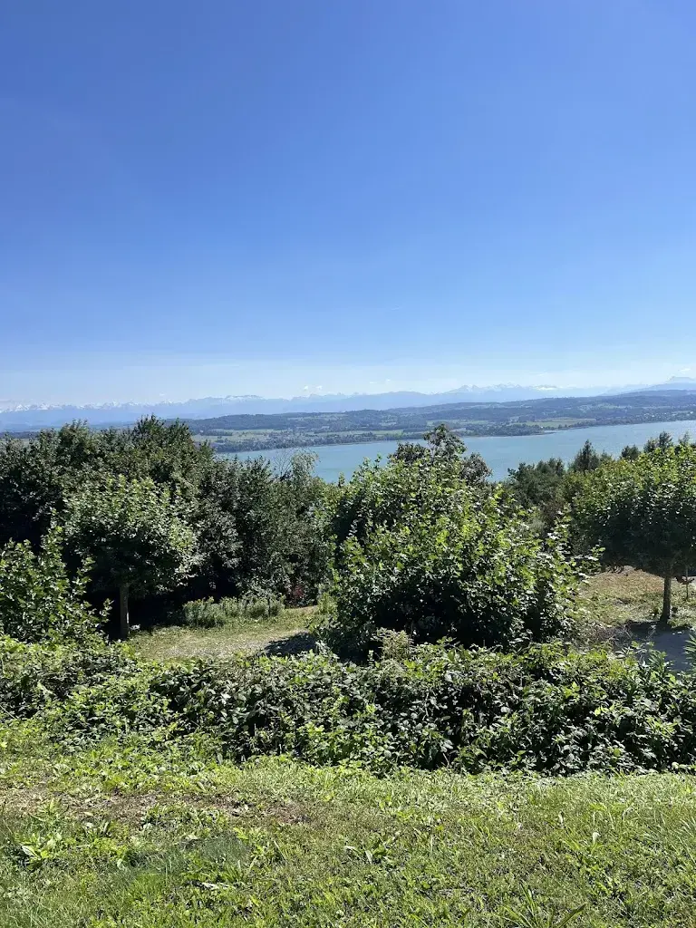 Ludovic Eric Shen_Hôtel Restaurant Le Mont-Vully_Lugnorre_avis