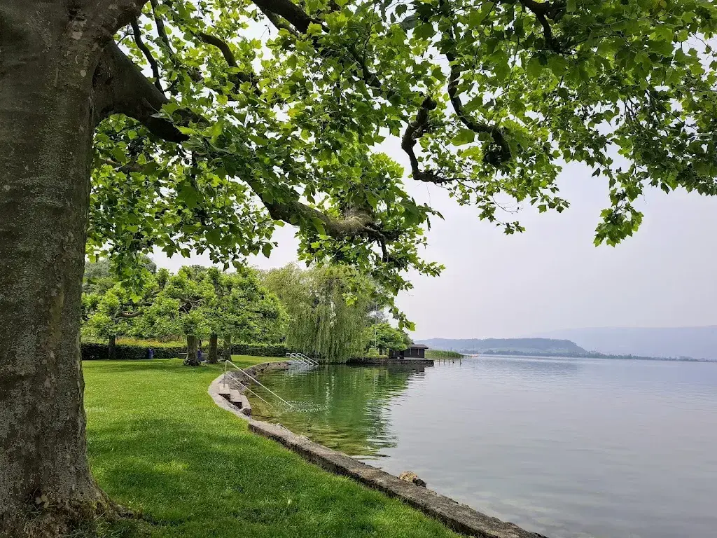 Verena Schori_Kiosk am See / Strand Bistro_Lüscherz_avis