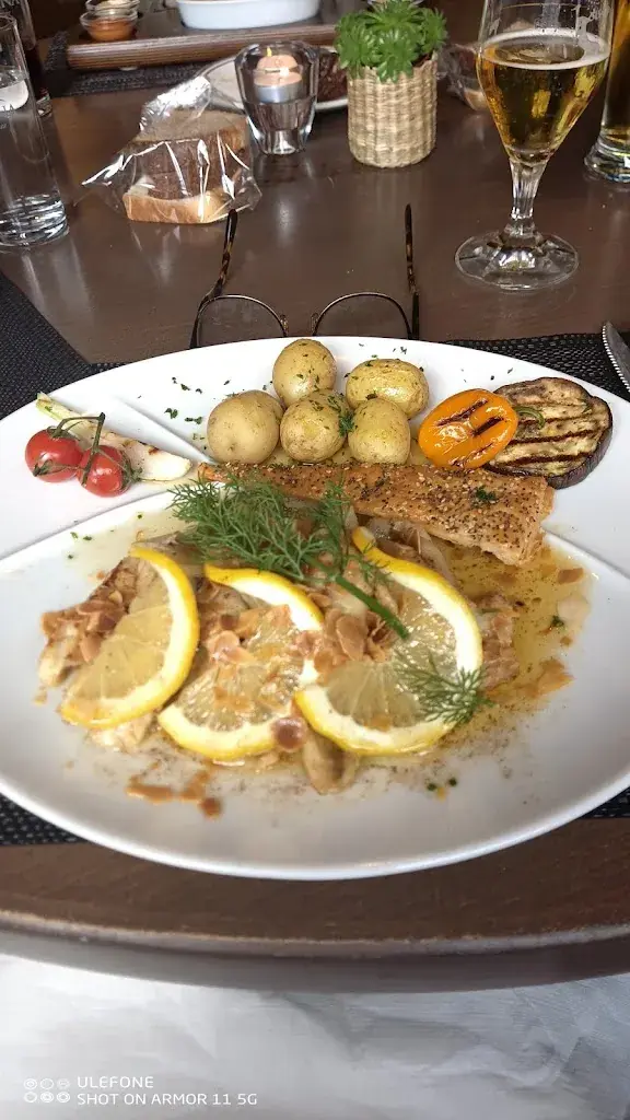 Virtual classroom Homeschooling alternative_Surf_Lüscherz_avis