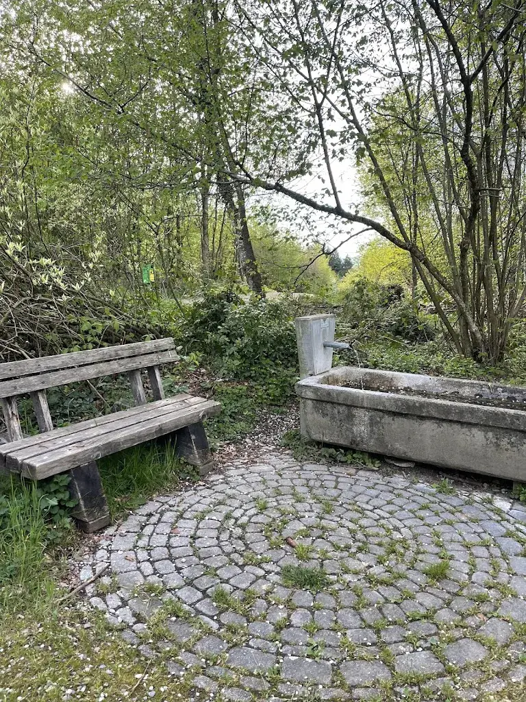 cabane du Haut-de-Bochat restaurant à Villarepos