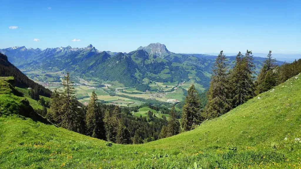 La Ferme du Biolley_Vuisternens-en-Ogoz_slider_image_3